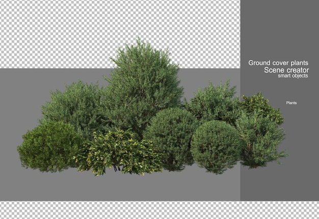 PSD 3d rendering of various tree designs