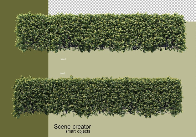 3d rendering of various tree designs