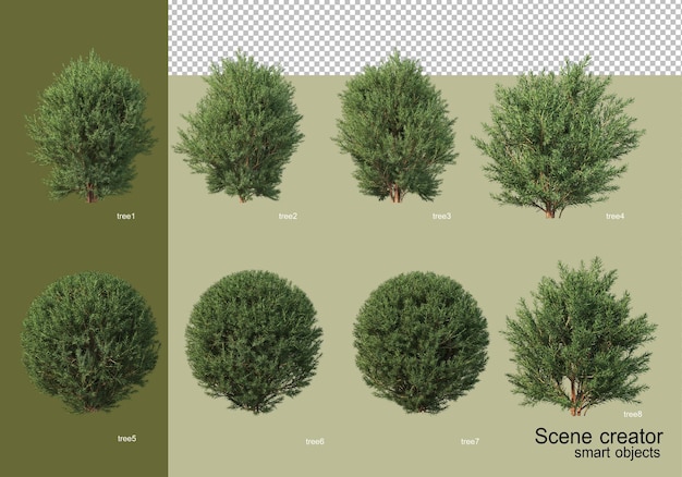 さまざまなツリーデザインの3Dレンダリング