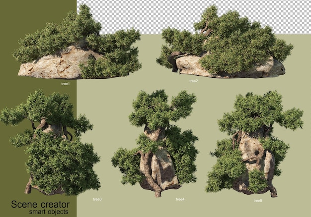 Rendering 3d di vari disegni di alberi