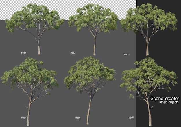 3D rendering, various tree layouts