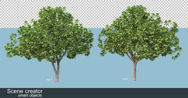 さまざまな木の形や種類の3Dレンダリング