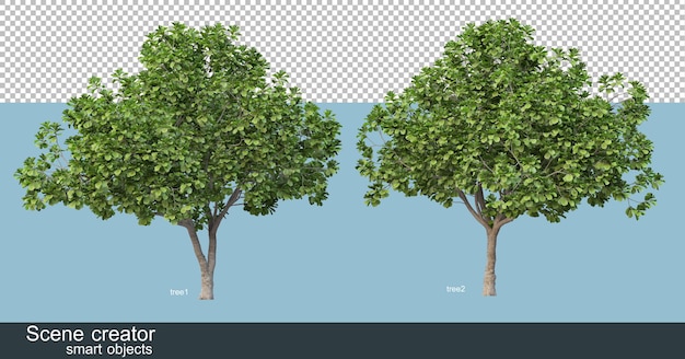 3d rendering of various tree shapes and types