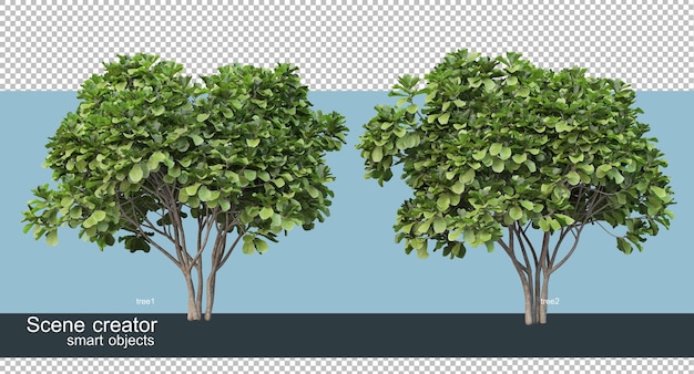 Rendering 3d di varie forme e tipi di alberi