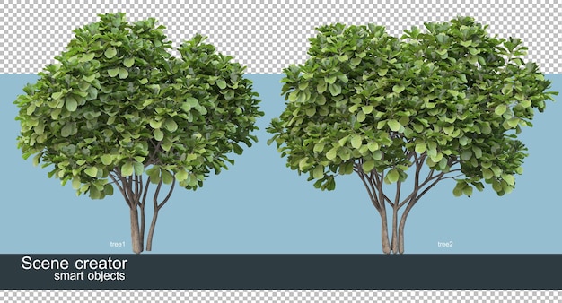 Rendering 3d di varie forme e tipi di alberi