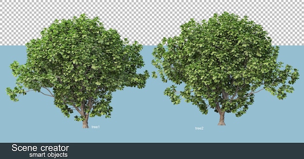 3d rendering of various tree shapes and types