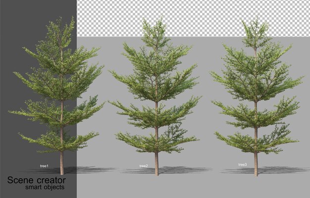 PSD rendering 3d di vari tipi di alberi isolati