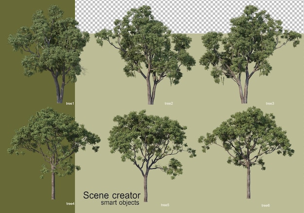 Rendering 3d di vari alberi isolati