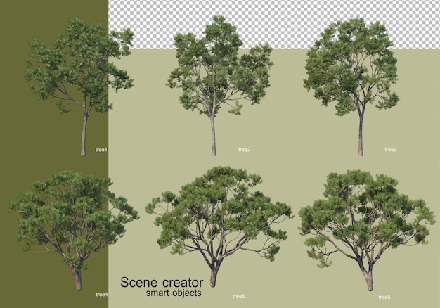 Rendering 3d di vari alberi isolati