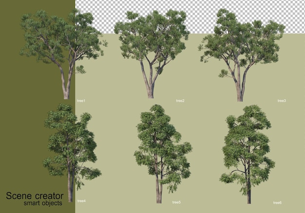 3D rendering of various trees isolated