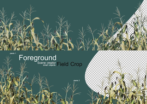 PSD 3d rendering of various types of agronomy