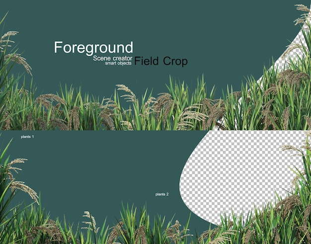 PSD 3d rendering of various types of agronomy