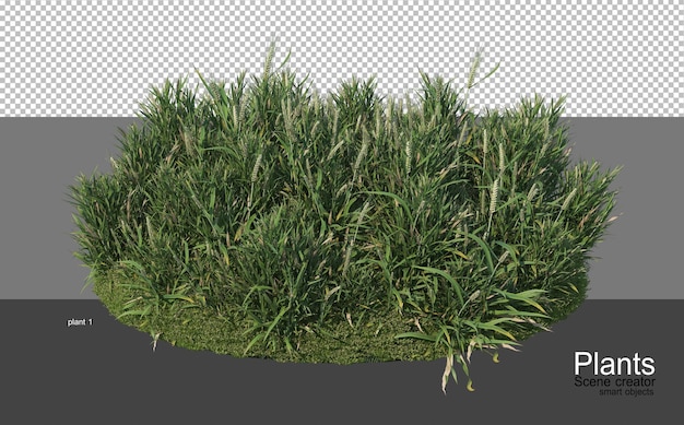 PSD rendering 3d di vari tipi di agronomia