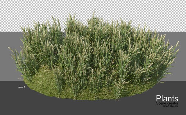 PSD 3d rendering of various types of agronomy