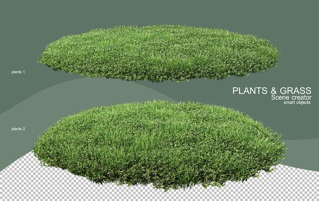 PSD 3d rendering various types of bush arrangements