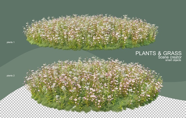 PSD 3d rendering various types of bush arrangements