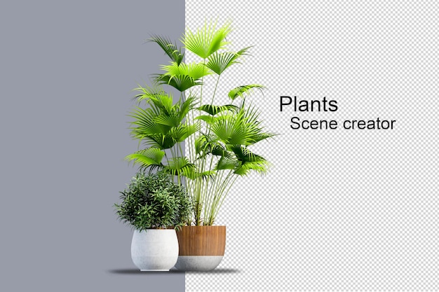 3d rendering various types of bush arrangements