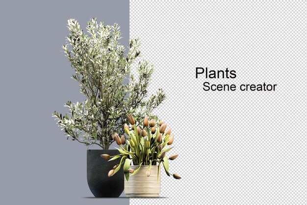 PSD 3d rendering various types of bush arrangements