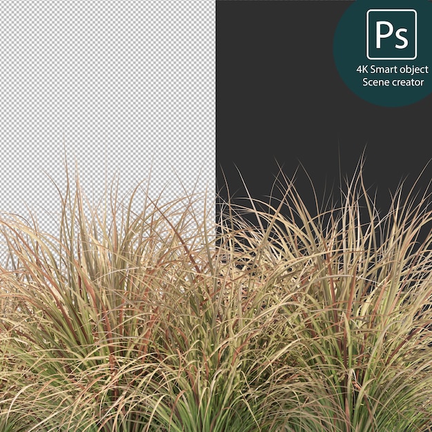 3d rendering various types of bush and hedges arrangements