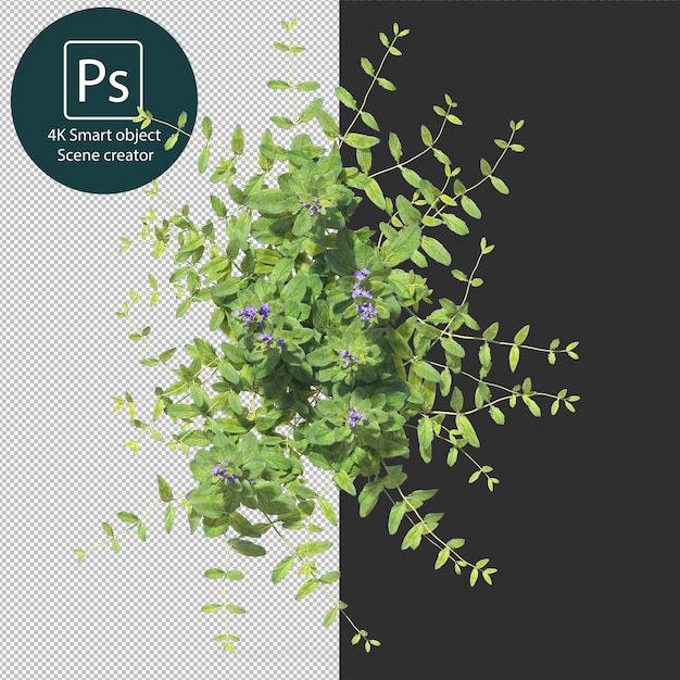 PSD 3d rendering various types of bush and hedges arrangements