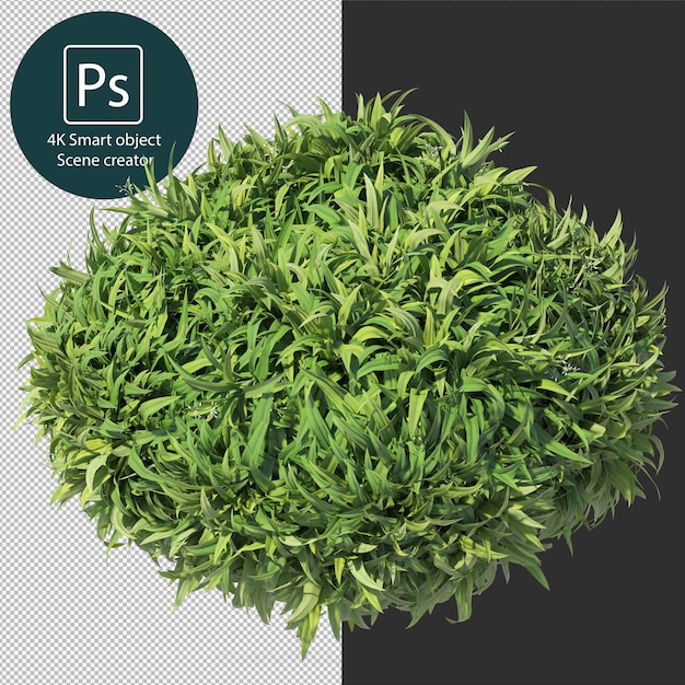 3d rendering various types of bush and hedges arrangements