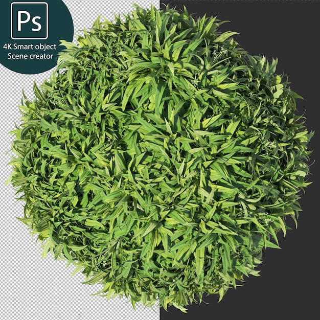 PSD 3d rendering various types of bush and hedges arrangements