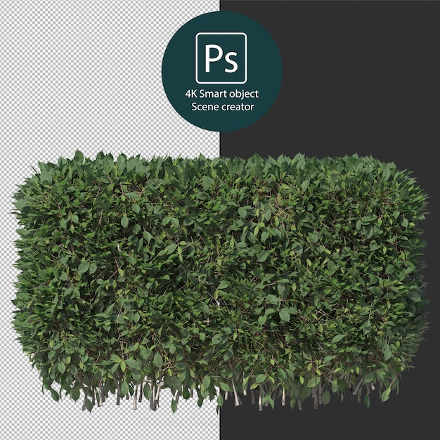 3d rendering various types of bush and hedges arrangements