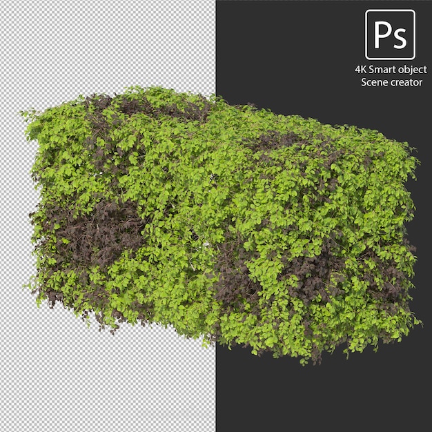 3d rendering various types of bush and hedges arrangements