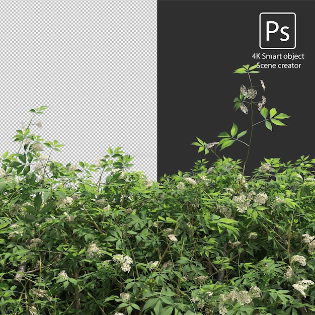 3d rendering various types of bush and hedges arrangements