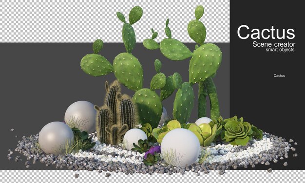 3d rendering various types of cactus arrangements
