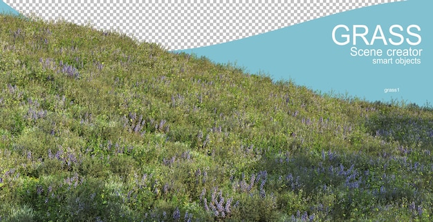 PSD 3d rendering of various types of grasslands