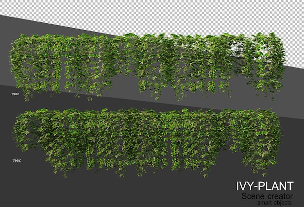 PSD 3d rendering of various types of ivy design