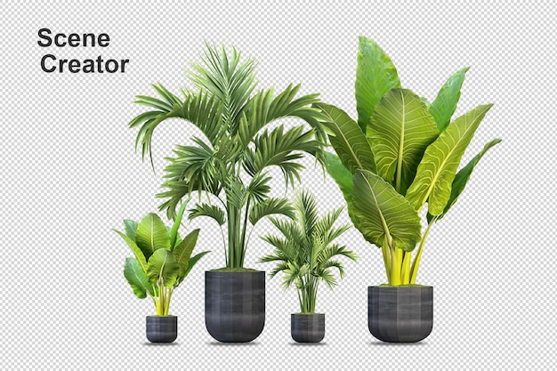 3d rendering various types of bush arrangements