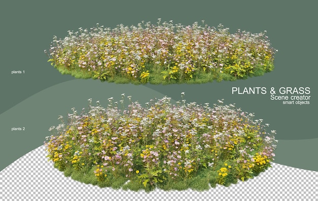 さまざまな種類の低木配置の3dレンダリング