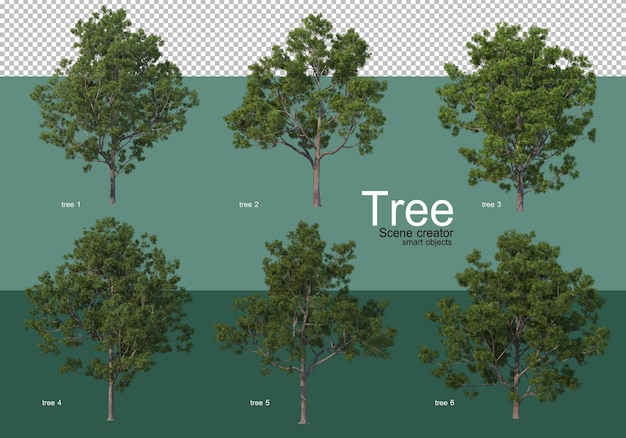 PSD 3dレンダリング、さまざまな種類のツリーレイアウト