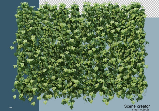 3D rendering various types of trees