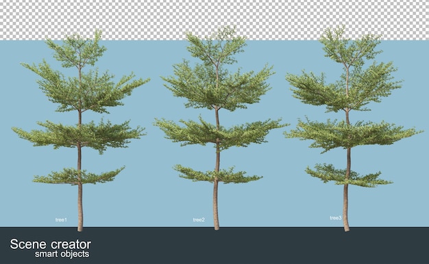 3D rendering various types of trees