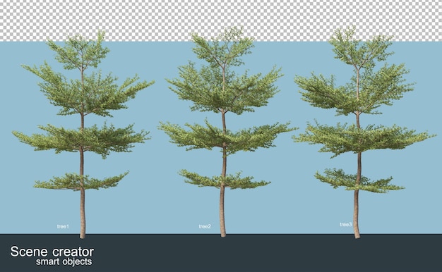 さまざまな種類の木の3dレンダリング