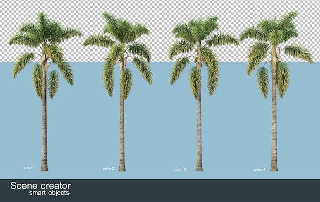 3d rendering of various types of palm trees