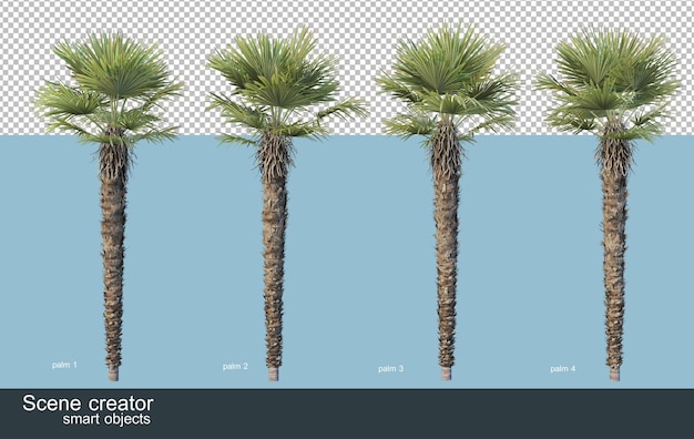 3d rendering of various types of palm trees