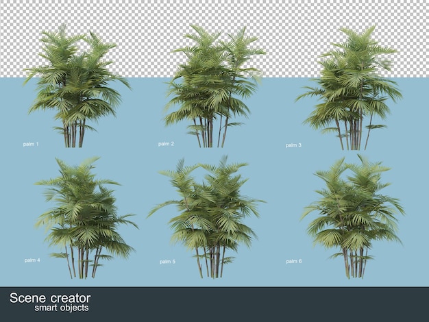 PSD 3d rendering of various types of palm trees