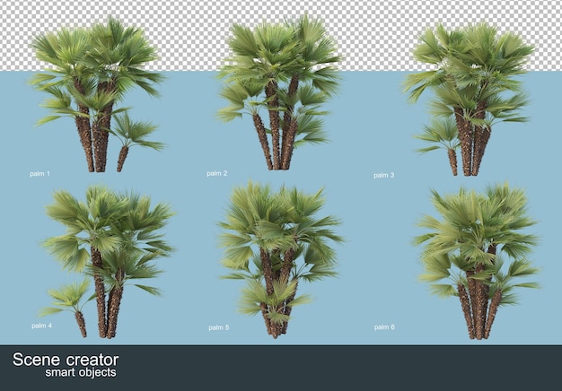 PSD 3d rendering of various types of palm trees