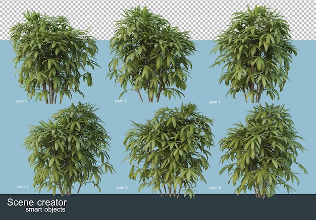 3d rendering of various types of palm trees