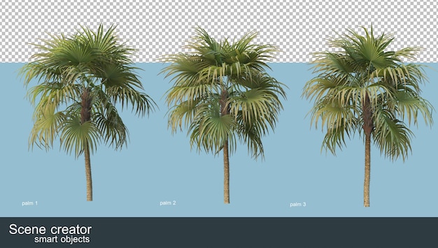 3d rendering of various types of palm trees