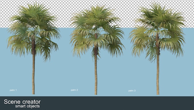 3d rendering of various types of palm trees