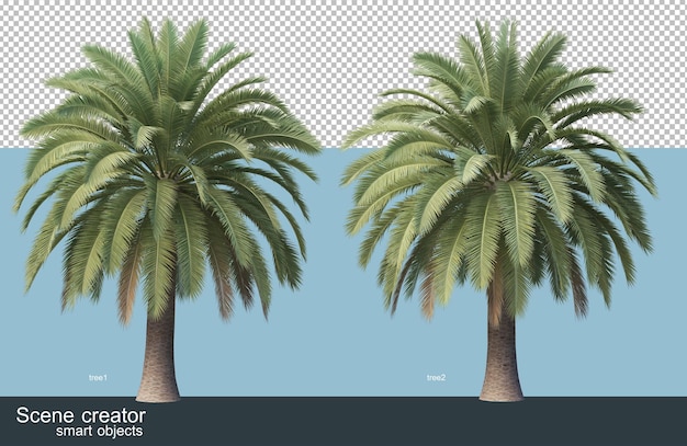 3d rendering of various types of palm trees