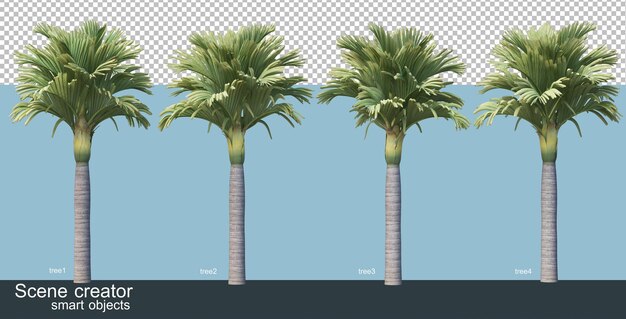 3d rendering of various types of palm trees