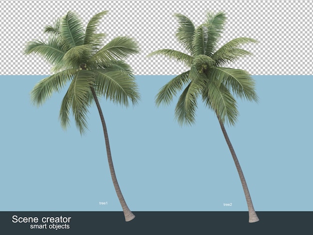 さまざまな種類のヤシの木の3Dレンダリング