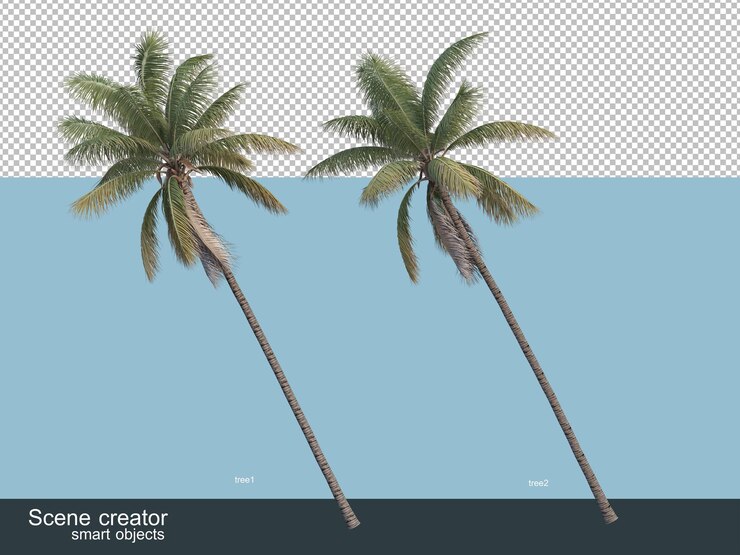 PSD 다양한 종류의 야자수의 3d 렌더링