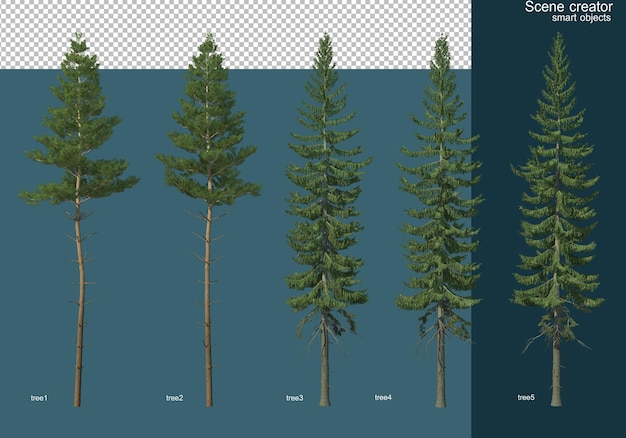 Rendering 3d di vari tipi di alberi di pino